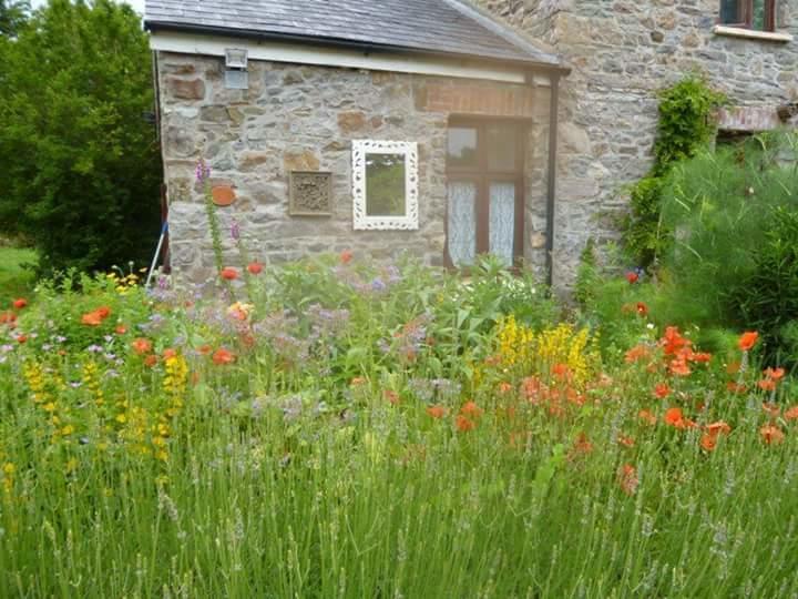 Middle Mill Bed & Breakfast Kidwelly Exterior photo